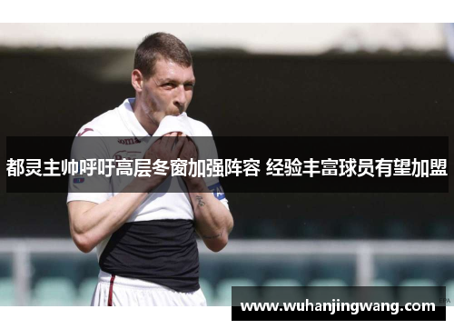 都灵主帅呼吁高层冬窗加强阵容 经验丰富球员有望加盟